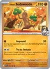 Deck cover card 2