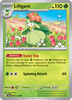 Deck cover card 3