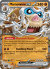 Deck cover card 2