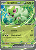 Deck cover card 1
