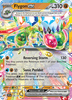 Deck cover card 1
