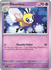 Deck cover card 1