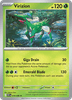 Deck cover card 1